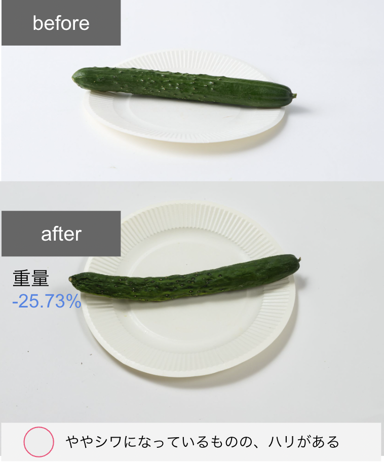冷凍冷蔵庫 15