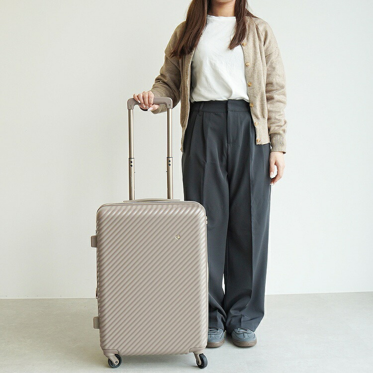 HaNT×Jewelna Roseコラボトローリー スーツケース 15