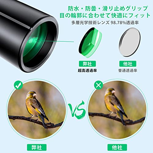 双眼鏡 4