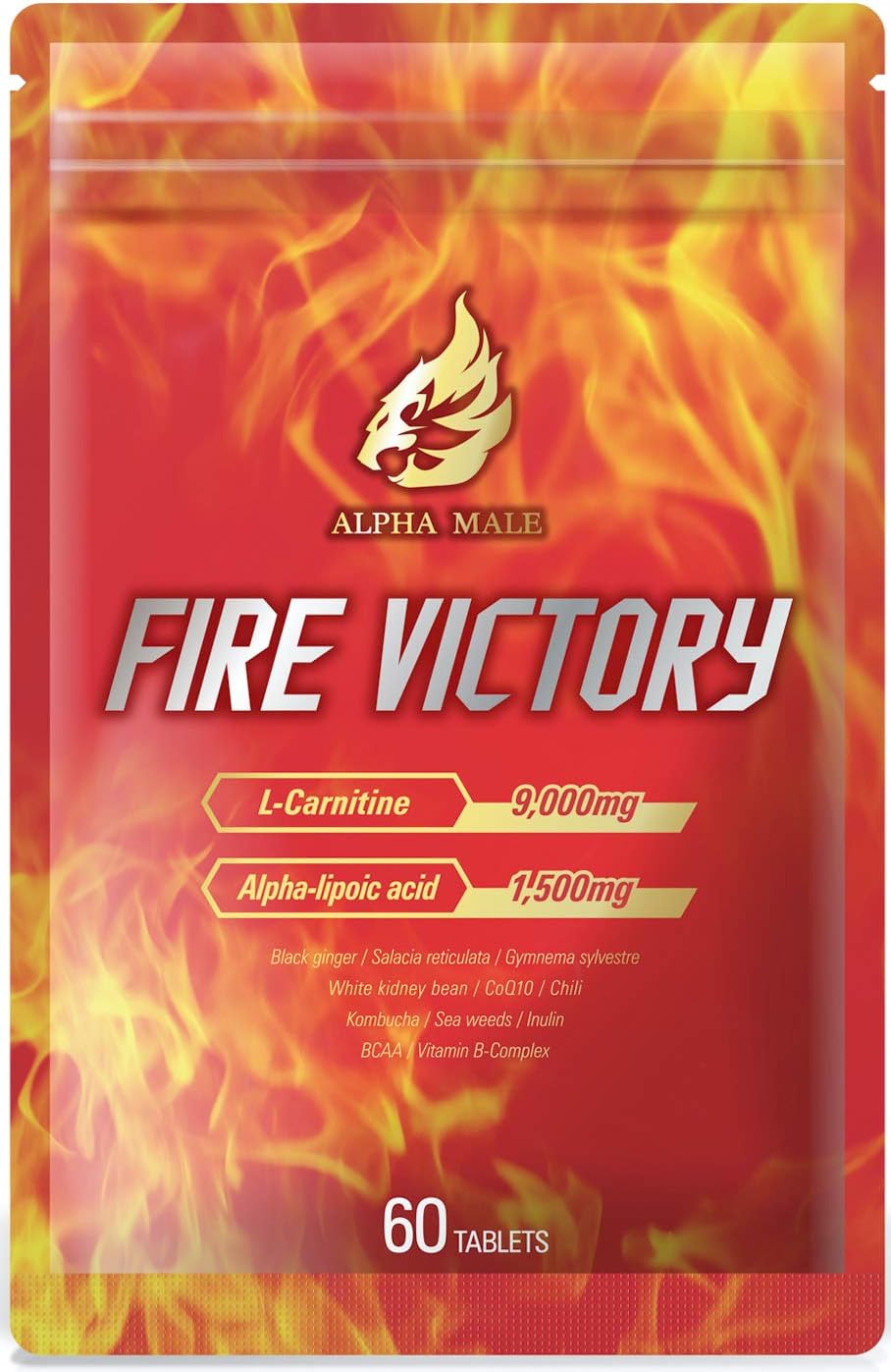 FIRE VICTORY 1