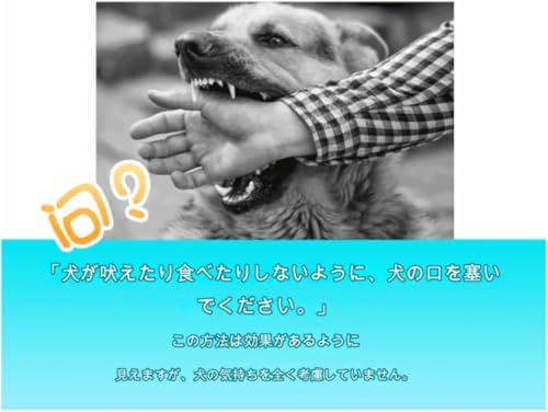 小型犬用口輪 2