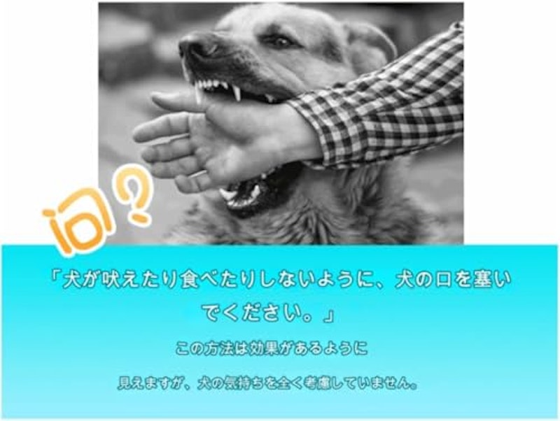 小型犬用口輪 2