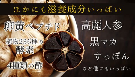 極発酵黒にんにく卵黄 5