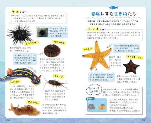 出会った魚がわかる図鑑 7