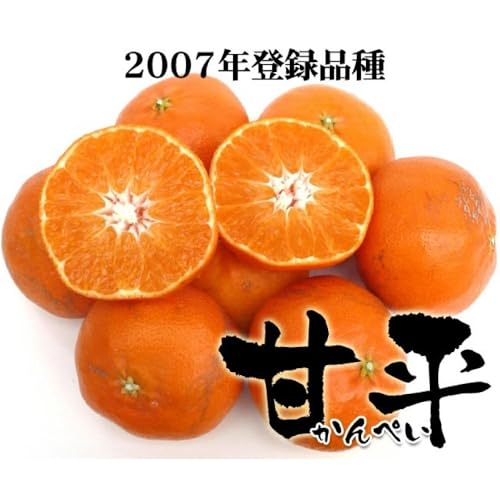 甘平 4
