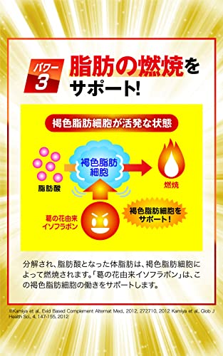 脂肪減少源EX 6