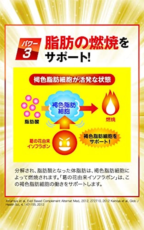 脂肪減少源EX 6