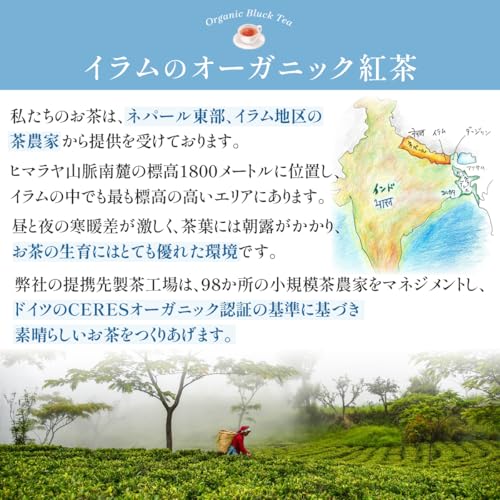 Golden Tips 2023 Summer Harvest 2