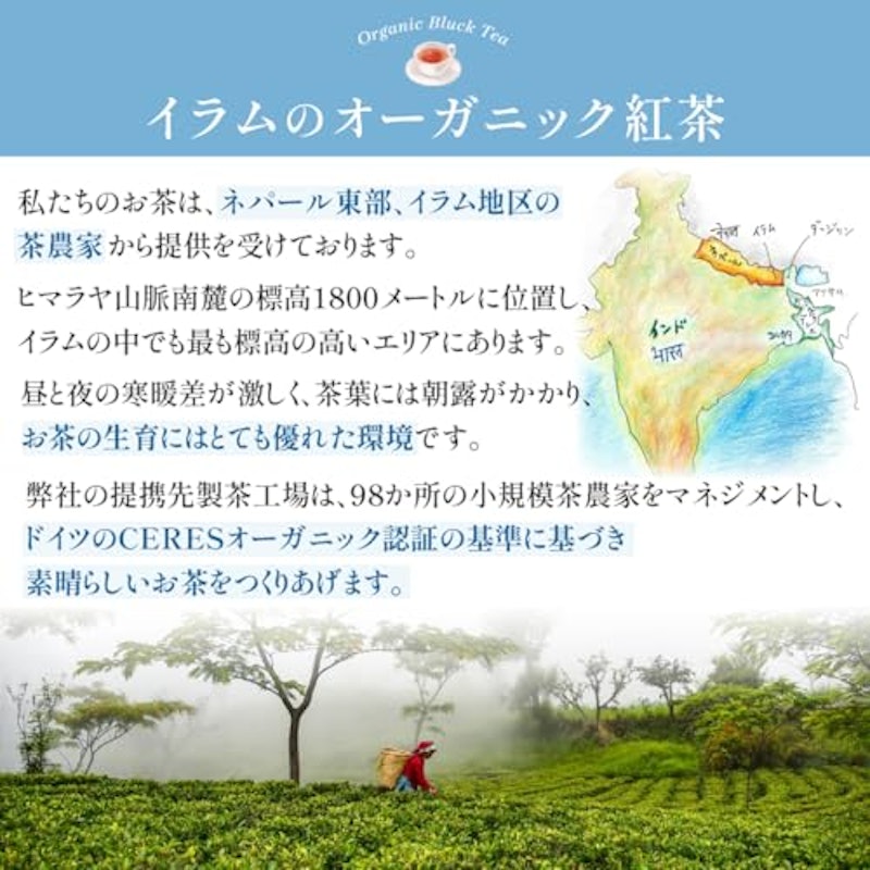Golden Tips 2023 Summer Harvest 2