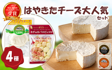 夢民舎はやきたチーズ大人気セット 1