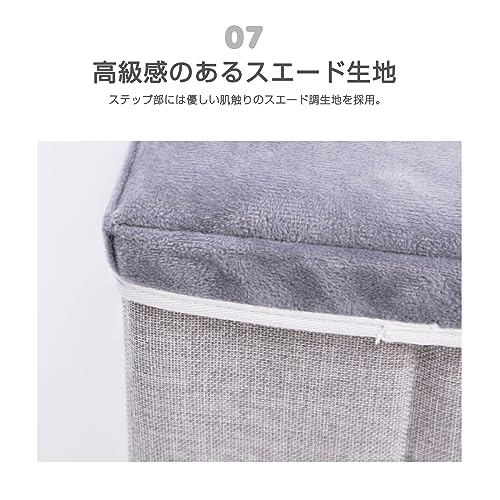 ドッグステップ 7