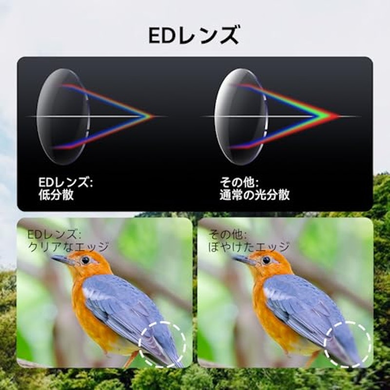 EDレンズ双眼鏡 3