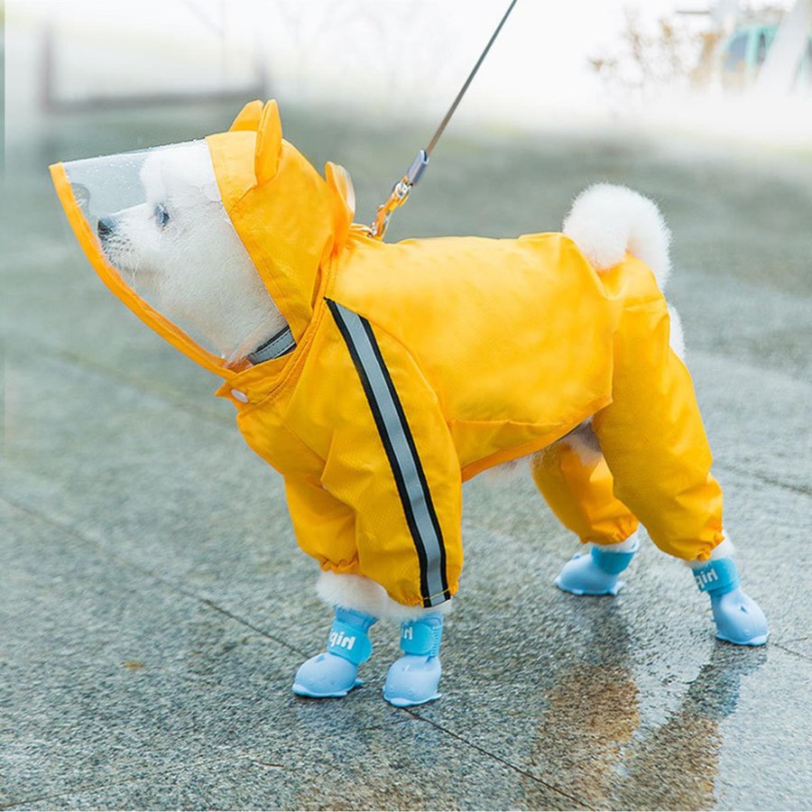 21年 犬用レインコートのおすすめ人気ランキング9選 Mybest