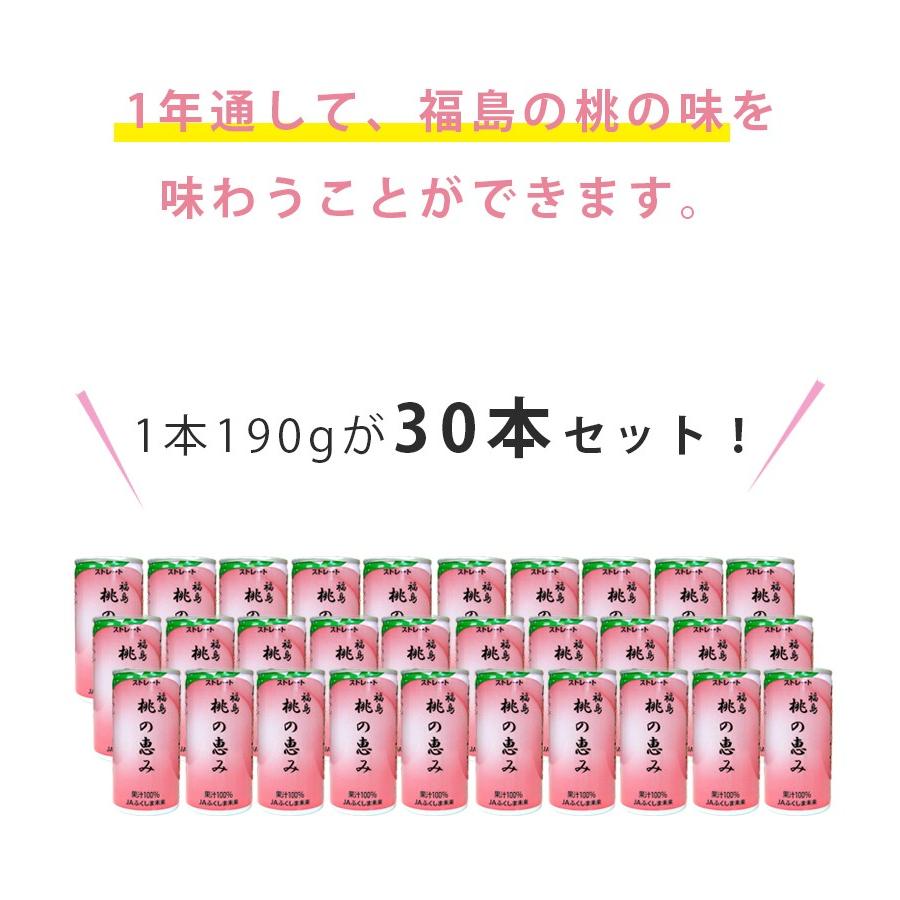 福島桃の恵み  4