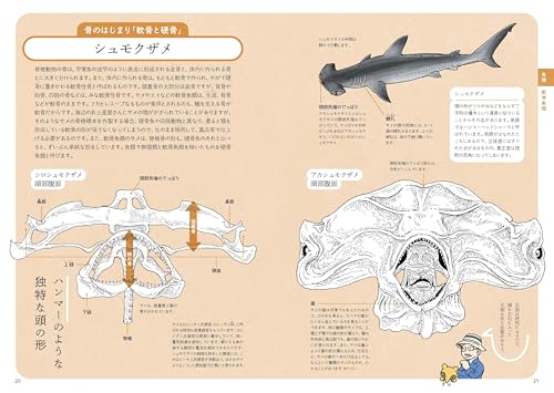 ぜんぶ絵でわかる9 すごい骨の動物図鑑 4