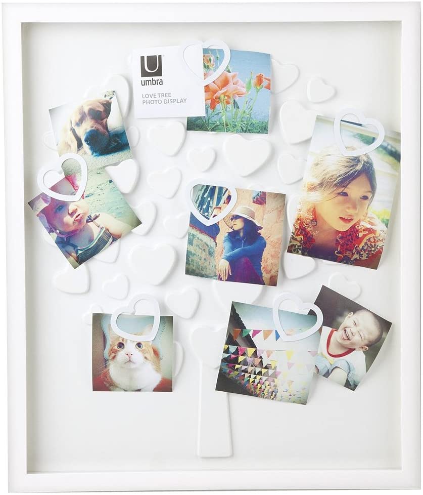 LOVETREE PHOTO DISPLAY 1
