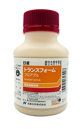 トランスフォームフロアブル 1