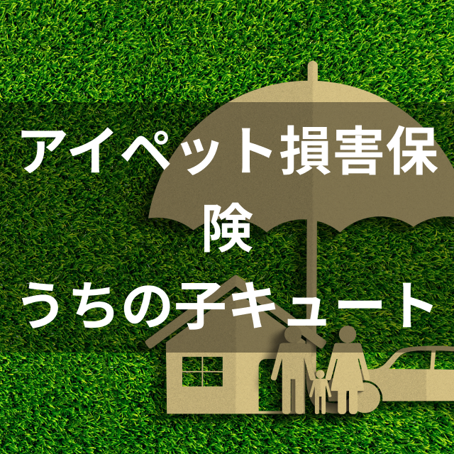 21年 うさぎにおすすめのペット保険のおすすめ人気ランキング4選 Mybest