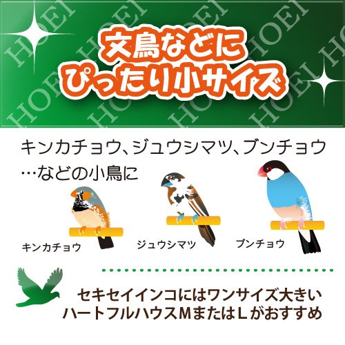 ハートフルハウスS 2