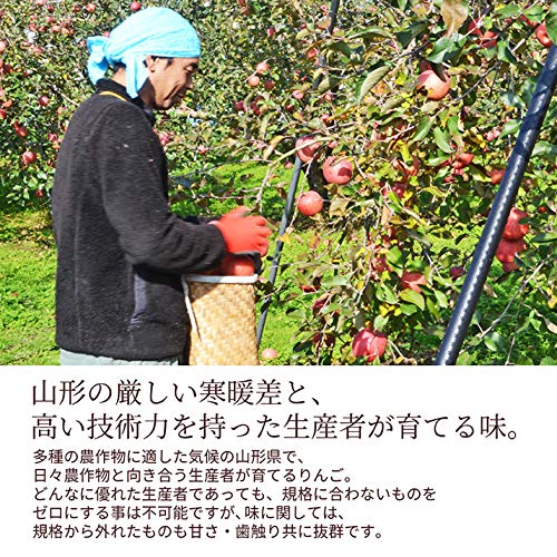 山形県産 完熟サンふじりんご 3