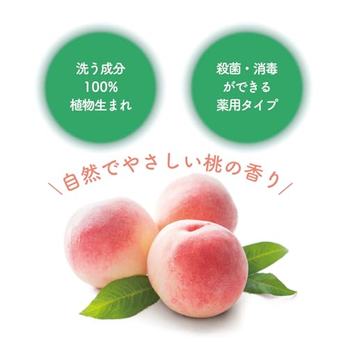 薬用植物性 泡ハンドソープ 4