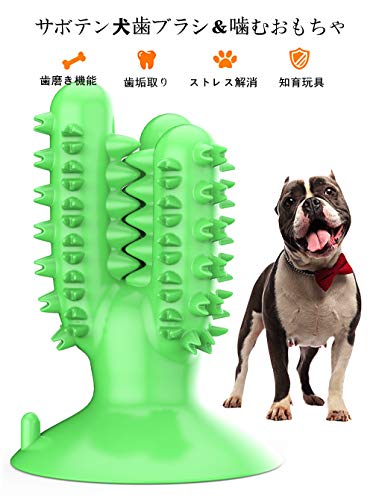 Zeattain 犬用噛むおもちゃ 犬 歯ブラシ かむ玩具 ペット用歯ブラシ 犬おもちゃ