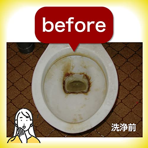 トイレ職人 3