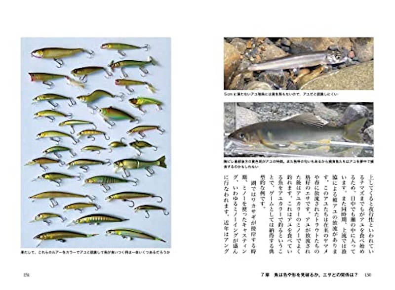 ルアーのひみつ 魚がヒットする、動き・色・素材・仕組みの真実 5