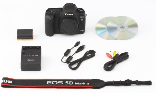 プロ品質をあなたに✨美品✨キヤノン EOS 5D MarkⅢ✨超望遠