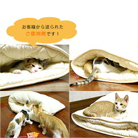 22年 猫用ハウス ベッドのおすすめ人気ランキング選 Mybest