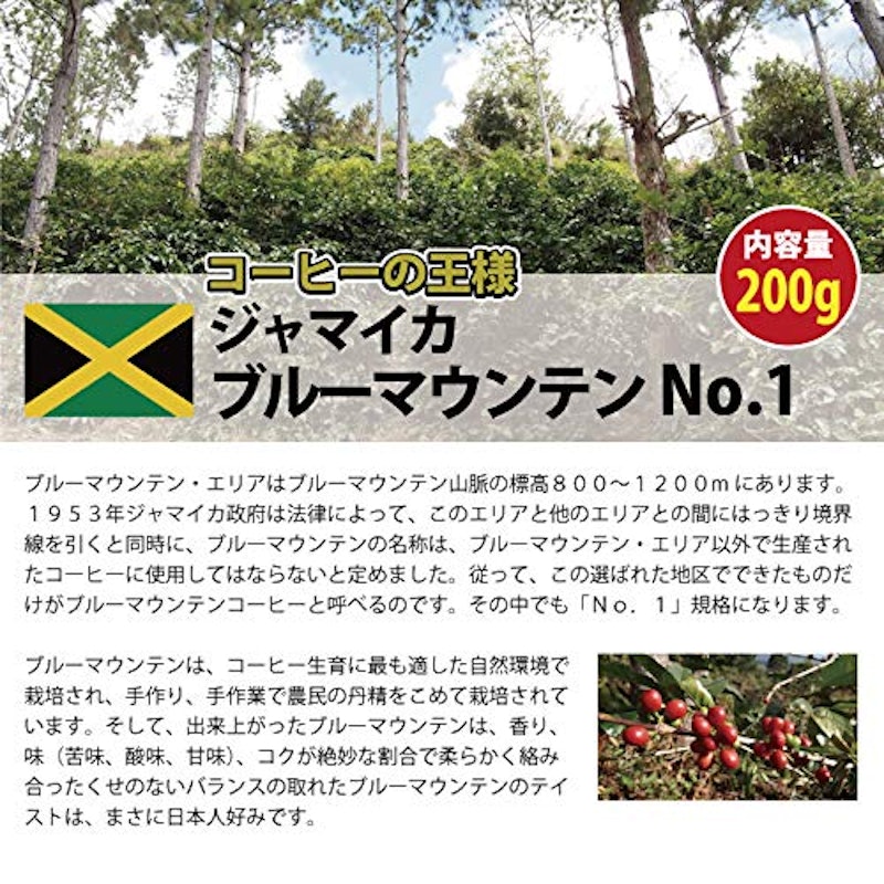 ジャマイカ ブルーマウンテンNo.1 2