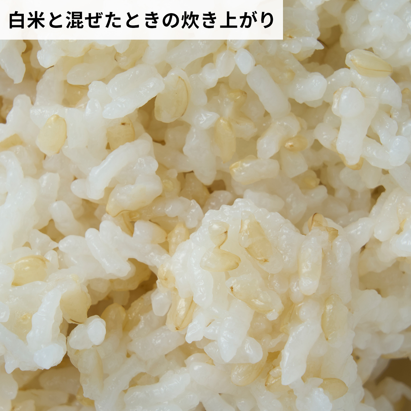 発芽玄米 7