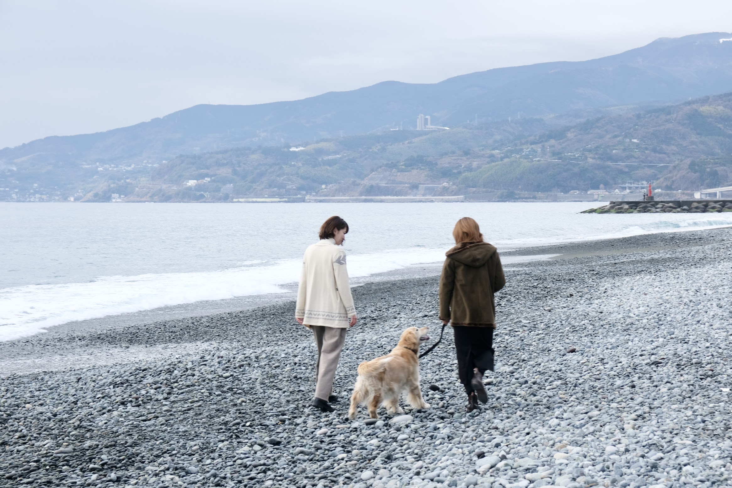 いぬと海辺 1