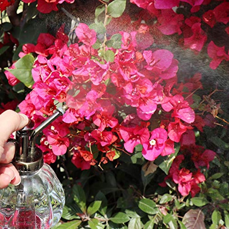 21年 ガーデニング用霧吹きのおすすめ人気ランキング15選 Mybest 21年 ガーデニング用霧吹きのおすすめ人気ランキング15選 Mybest