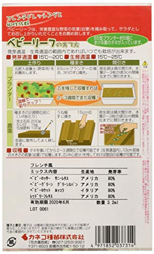 ベビーリーフ・ミックス　フレンチ風 2
