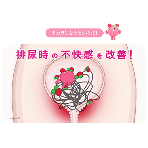 ハルンケアベアベリー錠  4