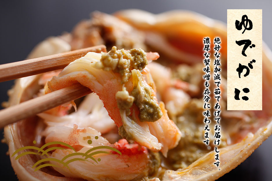 兵庫県水揚げ 松葉ガニ 9