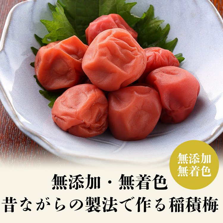 越中伝統梅干し 氷見稲積梅 3