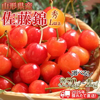 佐藤錦 秀 L以上 バラ詰 1