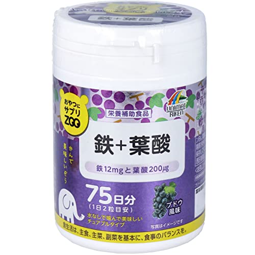 鉄+葉酸 1