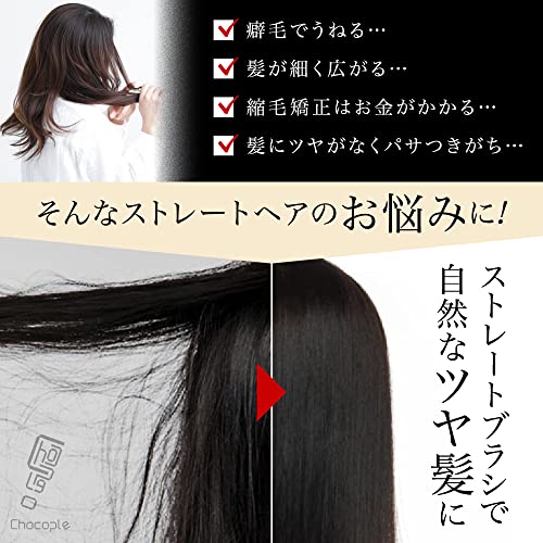 ツインブラシ 3
