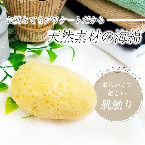 海綿 ジップロック袋付き 3