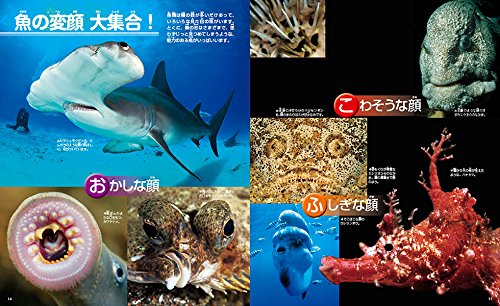 講談社の動く図鑑MOVE 魚 新訂版  6