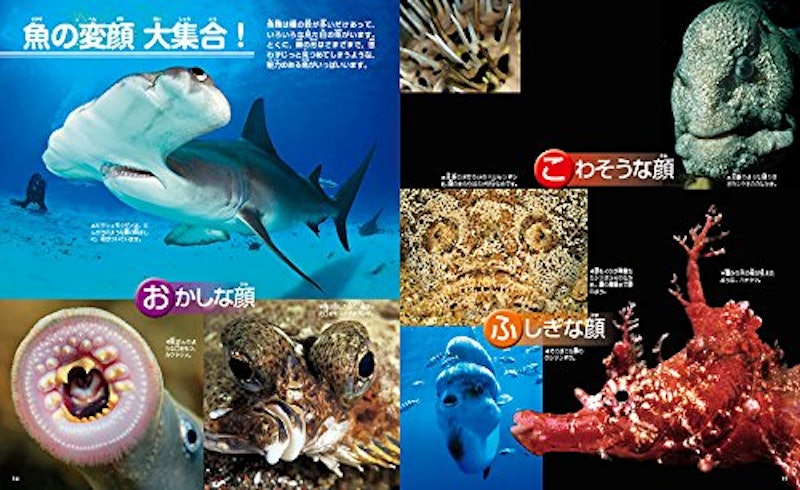 講談社の動く図鑑MOVE 魚 新訂版 6