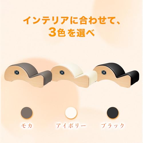 スパインコレクター 6
