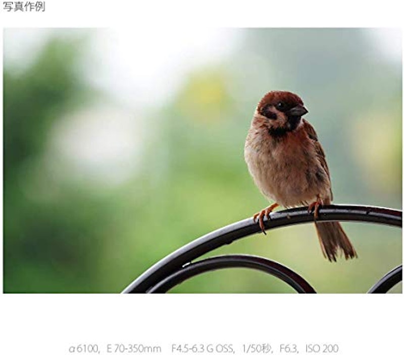 E 70-350mm F4.5-6.3 G OSS 3