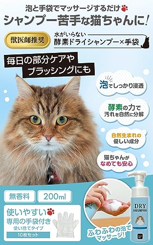 ドライシャンプー 2