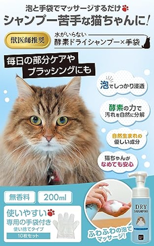 ドライシャンプー 2