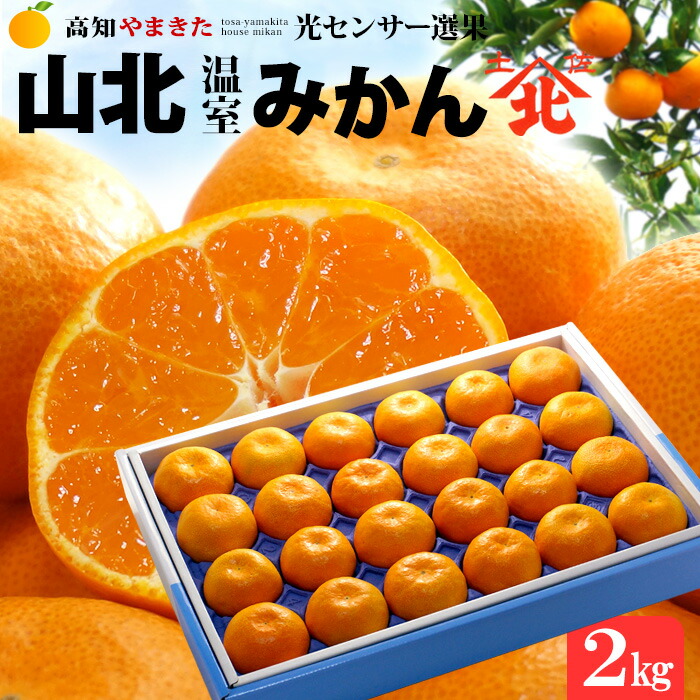 山北ハウスみかん 1