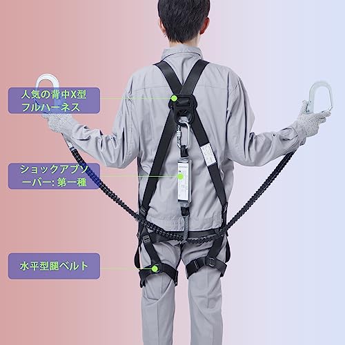 フルハーネス 6